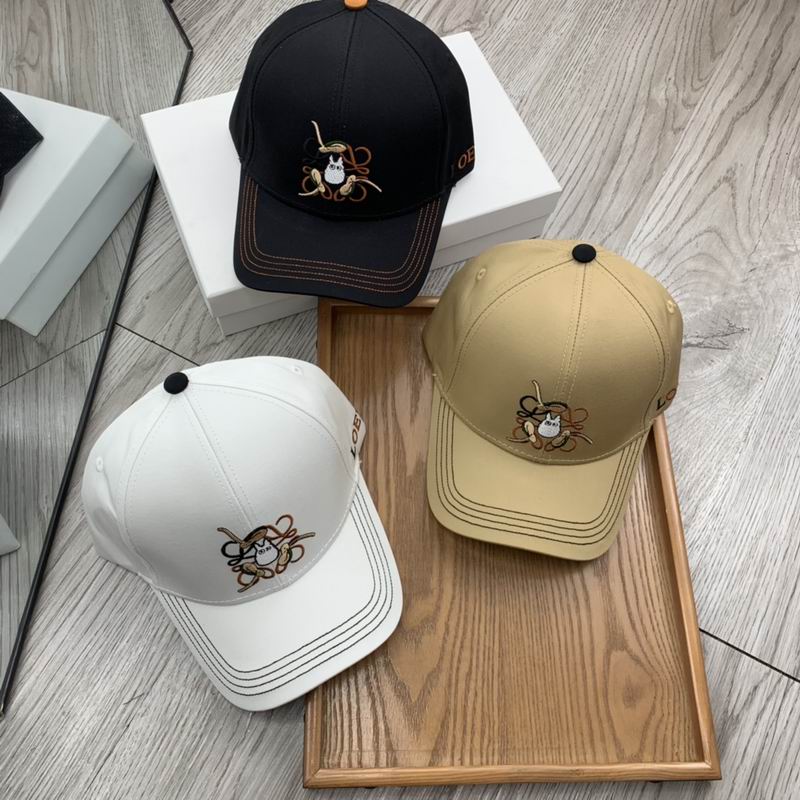 Loewe cap (27)